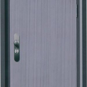 鋼質(zhì)防火進(jìn)戶(hù)門(mén)